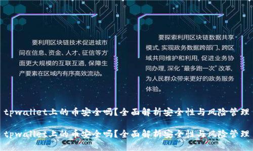 tpwallet上的币安全吗？全面解析安全性与风险管理

tpwallet上的币安全吗？全面解析安全性与风险管理