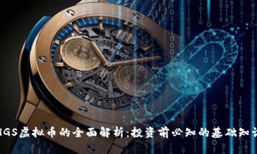 HGS虚拟币的全面解析：投资前必知的基础知识