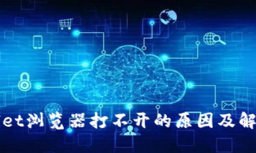 TPWallet浏览器打不开的原因及解决方法