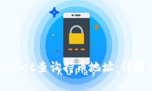 如何在TPWallet查询持币地址：详解步骤与技巧