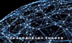 虚拟币的潜在问题与挑战