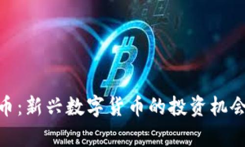 Hydra虚拟币：新兴数字货币的投资机会与风险分析
