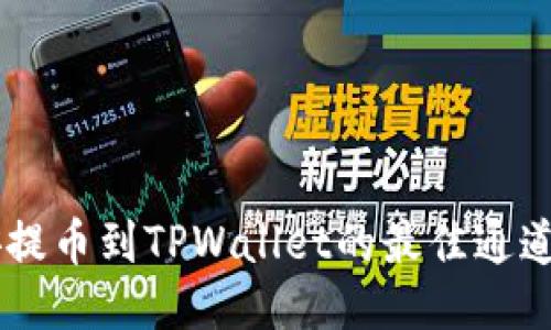 币安提币到TPWallet的最佳通道指南