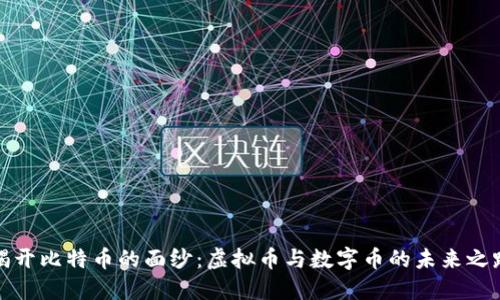 揭开比特币的面纱：虚拟币与数字币的未来之路