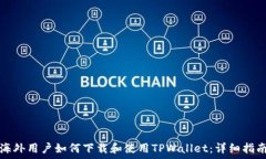  海外用户如何下载和使用