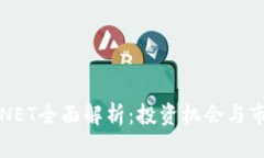 虚拟币NET全面解析：投资