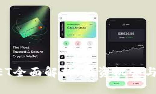 虚拟币NET全面解析：投资机会与市场前景