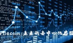 深入了解Filecoin：未来的去