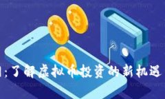 赢币网：了解虚拟币投资