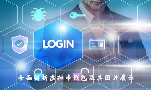 全面解析虚拟币钱包及其图片展示