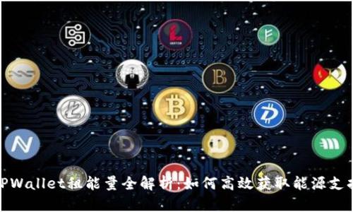 TPWallet租能量全解析：如何高效获取能源支持