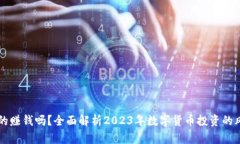 虚拟币真的赚钱吗？全面