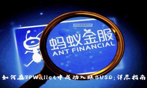 如何在TPWallet中成功入账BUSD：详尽指南