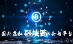 最新国外虚拟币的投资机