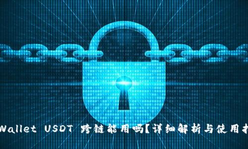 TPWallet USDT 跨链能用吗？详细解析与使用指南