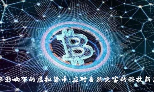 洪水影响下的虚拟货币：应对自然灾害的科技新篇章