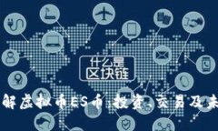 深入了解虚拟币ES币：投资