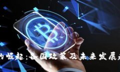 虚拟币的崛起：各国政策