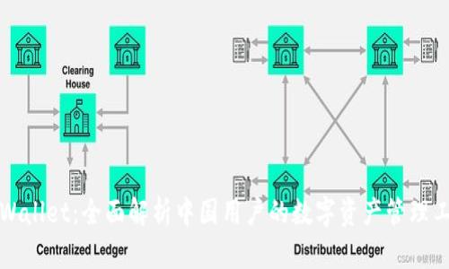 TPWallet：全面解析中国用户的数字资产管理工具