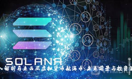深入解析马来西亚虚拟货币航海币：未来前景与投资策略