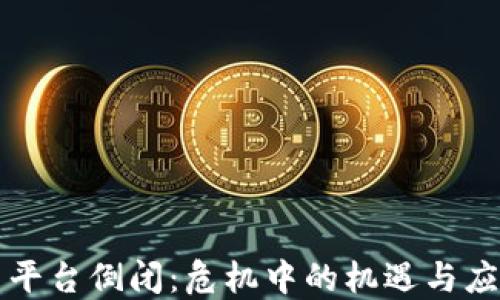 
虚拟币平台倒闭：危机中的机遇与应对策略