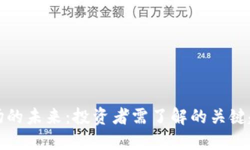 虚拟币市场的未来：投资者需了解的关键趋势与策略