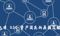 TP 钱包中 BSC 资产消失的原