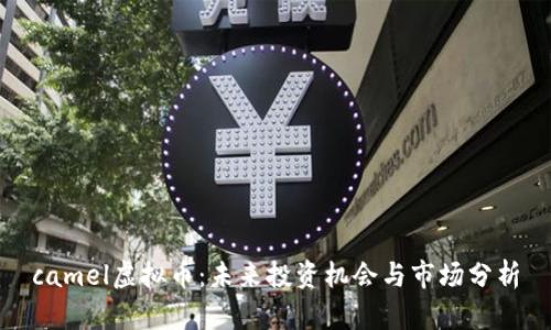 camel虚拟币：未来投资机会与市场分析