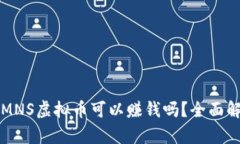 买MNS虚拟币可以赚钱吗？