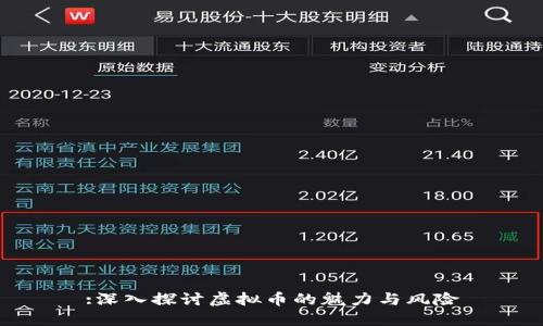 :深入探讨虚拟币的魅力与风险