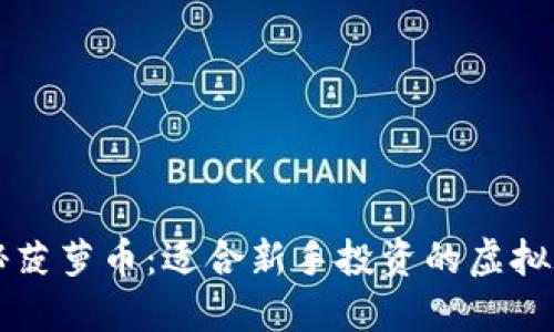 揭秘菠萝币：适合新手投资的虚拟货币