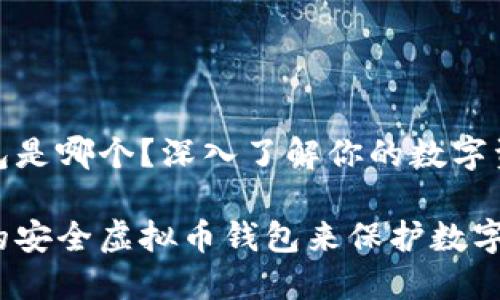 虚拟币的钱包是哪个？深入了解你的数字资产保管选择

选择适合你的安全虚拟币钱包来保护数字资产