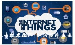 揭秘虚拟币技术团队：如