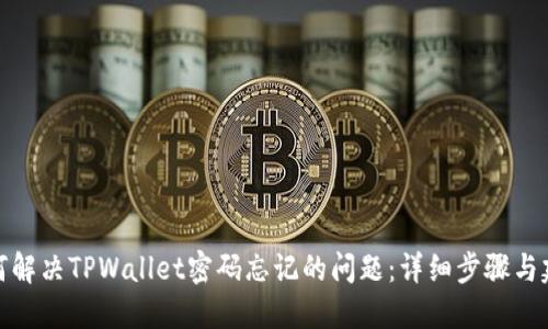 如何解决TPWallet密码忘记的问题：详细步骤与建议