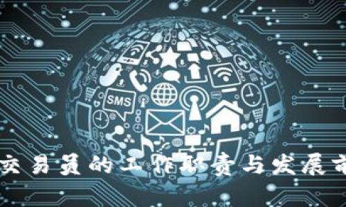 虚拟币交易员的工作职责与发展前景分析