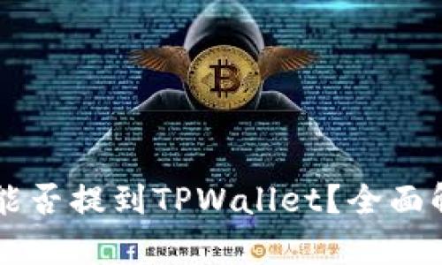 中本聪币能否提到TPWallet？全面解析与指导