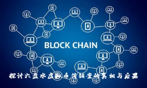 探讨六盘水虚拟币传销案的真相与后果