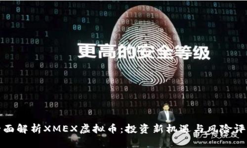 全面解析XMEX虚拟币：投资新机遇与风险评估