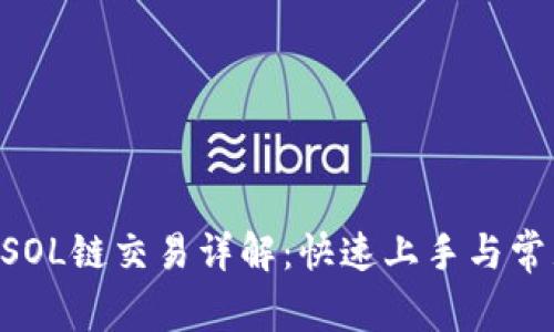 TPWallet SOL链交易详解：快速上手与常见问题解析