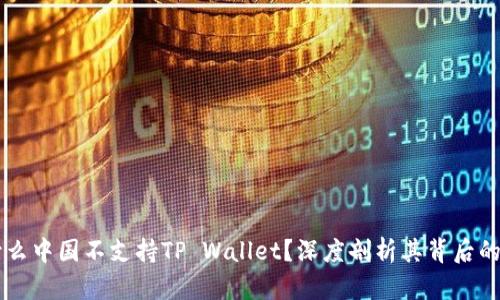为什么中国不支持TP Wallet？深度剖析其背后的原因