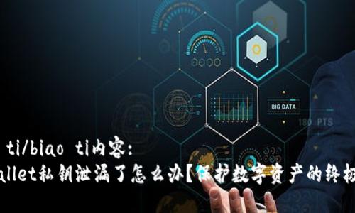 biao ti/biao ti内容:  
TPWallet私钥泄漏了怎么办？保护数字资产的终极指南
