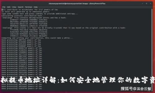 虚拟提币地址详解：如何安全地管理你的数字资产