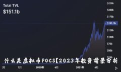 什么是虚拟币POCS？2023年投资前景分析