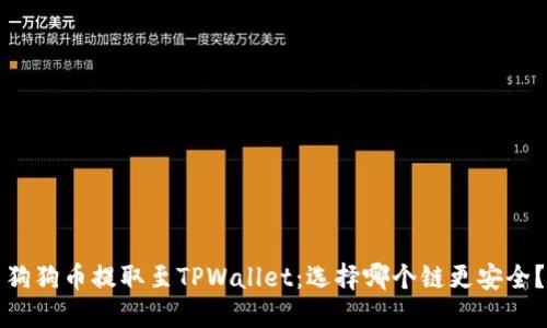 狗狗币提取至TPWallet：选择哪个链更安全？