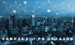 全面解析虚拟币VUB：价值