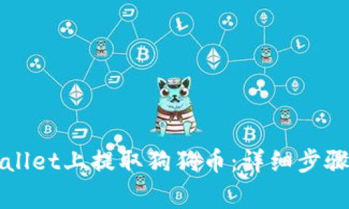 如何在TPWallet上提取狗狗币：详细步骤与注意事项