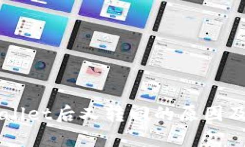  U转TPWallet后又转回的原因及解决方案