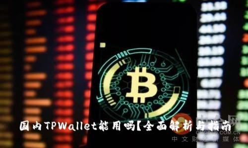 国内TPWallet能用吗？全面解析与指南