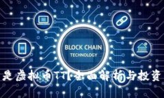 什么是虚拟币TT？全面解析