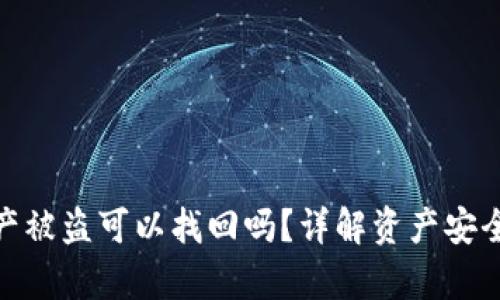 tpwallet资产被盗可以找回吗？详解资产安全与追回措施